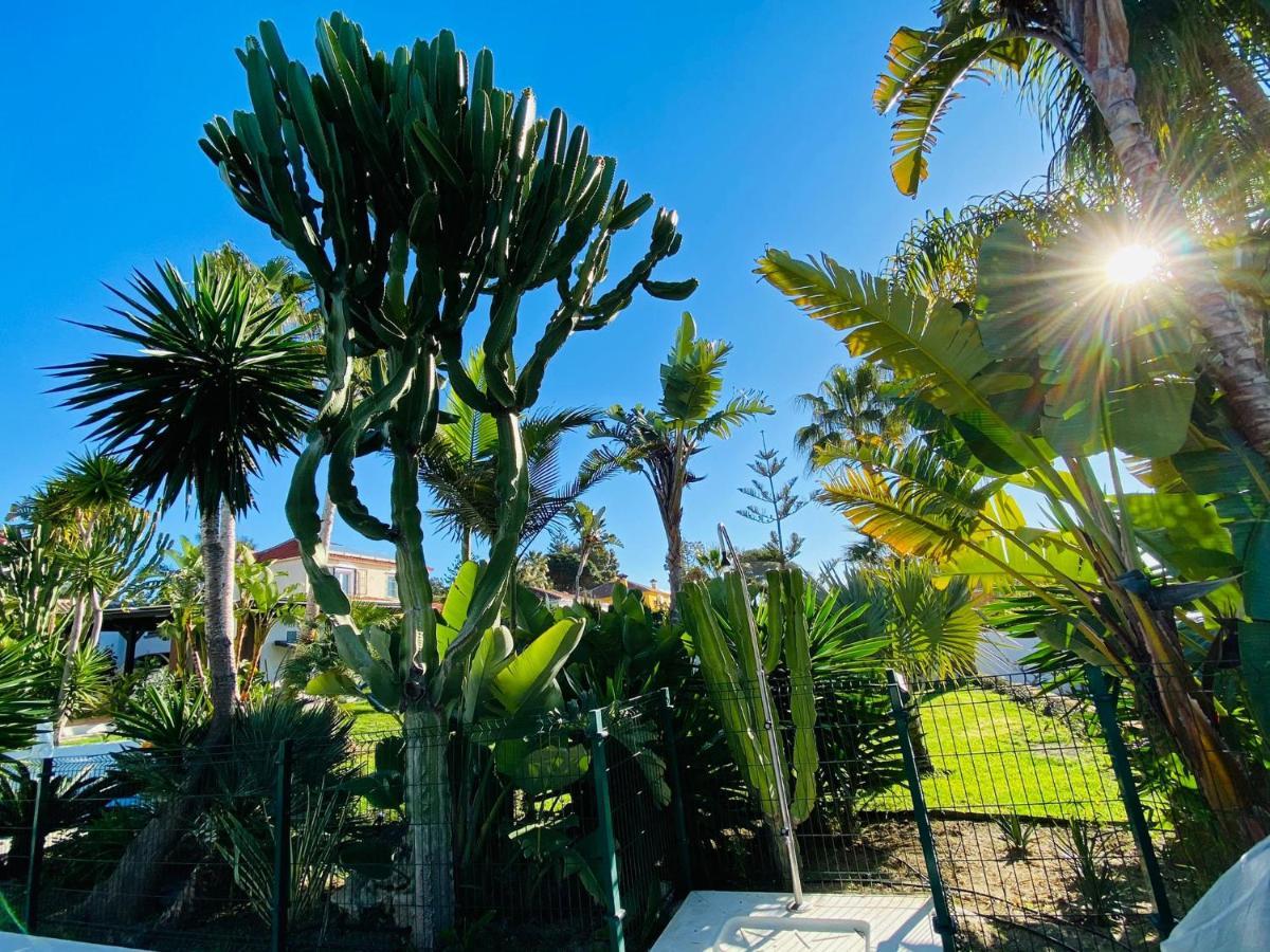 Studio-Near The Beach, Bbq And Seawater Pool Marbella Ngoại thất bức ảnh